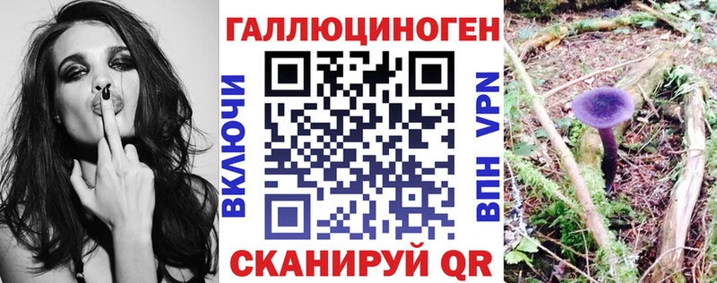 Псилоцибиновые грибы мицелий  Заволжск 
